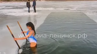 День моржа