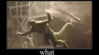 The lizard gets kicked by nothing what,  mame- spiderman no way home