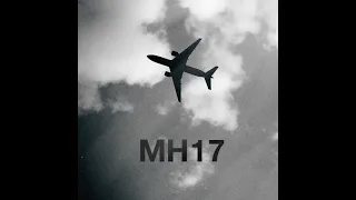 Сьомі роковини збиття літака рейсу MH17 в небі над Донбасом