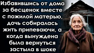 Избавившись от дома, дочь собиралась жить припеваючи, а когда вынуждена была вернуться