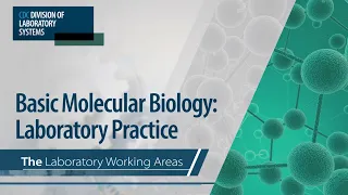 Basic Molecular Biology: Laboratory Practice – The Laboratory Working Areas