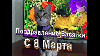 Поздравление Васятки с 8 Марта. Кот поздравляет с 8 Марта kittens #котята #shorts #funnyvideos