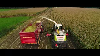 Maïs hakselen in Twente 2017 | Loonbedrijf Versteeg | 4K drone beelden