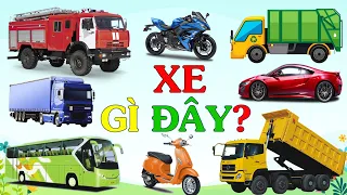 XE GÌ ĐÂY? Bé Học PHƯƠNG TIỆN GIAO THÔNG - ÂM THANH Các Loại Xe - Xe Cứu Hỏa, Xe Buýt, Xe Tải, Mô Tô