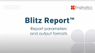 Blitz Report™ Tutorial - Report parameters and output formats