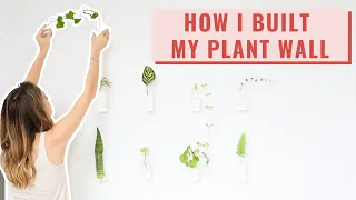 Minimalist Plant Propagation Wall | CUTE & INEXPENSIVE Interior Design Idea!