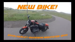 Meet My 2009 Harley Davidson Nightster!  (First Ride and Impressions)