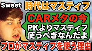 PKよりマスティフを使わなければいけない理由を丁寧に説明→それはCARメタが影響している？【APEX翻訳】