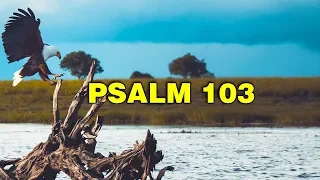 Psalm 103 Song "Bless His Holy Name” (Christian Scripture Praise Worship with Lyrics)