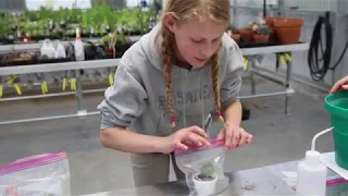 Part 1:  African Violet Propagation (condensed version for classrooms)