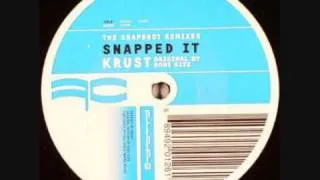 Roni Size - Snapshot (Krust Snapped It Remix)