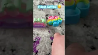 FIDGET CUTTING!?😱 Cutting Fidget toys😭✂️