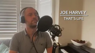 Frank Sinatra - That's Life (Cover by Joe Harvey)