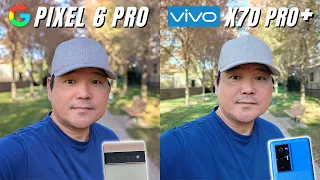 Google Pixel 6 Pro vs Vivo X70 Pro+ Camera Comparison | Best smartphone cameras of 2021?