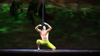 Cirque du Soleil Act, Saulo Sarmiento, Aerial Pole