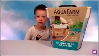 Аква ферма выращиваем салат в аквариуме Aqua farm grow lettuce in your tank