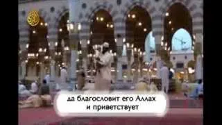 Шейх  аш-Шанкыти  - ЕСЛИ БЫ Я ТОЛЬКО ЗНАЛ!