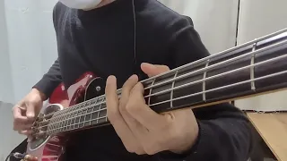 Sum 41 - Over My Head / Bass Cover