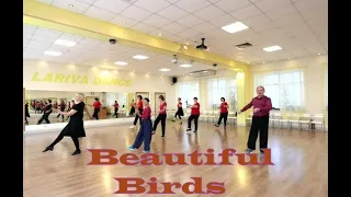 Beautiful Birds  Танцуйте с нами под эту очаровательную музыку  ОМСК  Lariva Dance  08 12 2023 г