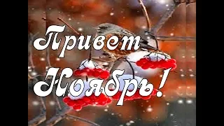 Привет Ноябрь! Желаю Тебе Счастливого и Яркого Ноября!😘🌷 Музыкальная открытка