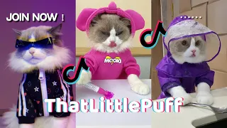 *1 HOUR* That Little Puff Tiktok Compilation 2022