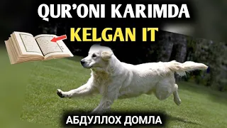 Qur'oni Karimda Kelgan It | Abdulloh domla | Абдуллох домла