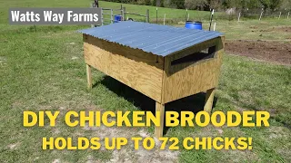 DIY Chicken Brooder for up to 72 chicks!