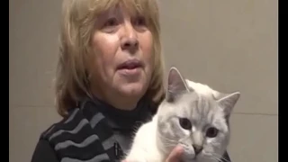 Юрий Куклачев и загадочная роль кошек в его жизни. Нераскрытые тайны!