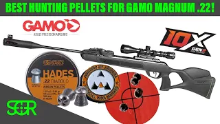 Gamo Swarm Magnum BEST HUNTING PELLETS - JSB HADES - Smack Harder, Hunt Farther for small game!