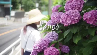 #428【SANPO】is lookin' good !　散歩してデイリーエスケープコーヒーへ【vlog】