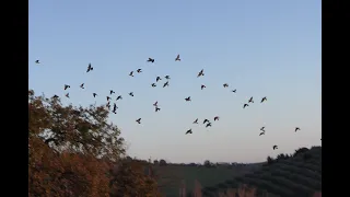 La magia dell'ottobre