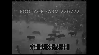 Running of the Bulls, Pamplona, 1930 | 220722-08 | Footage Farm Ltd