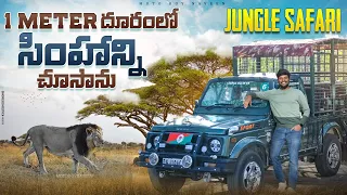 1 Mtr  దూరం లో సింహాన్ని చూశాం | GIR NATIONAL PARK | JUNGLE SAFARI | MOTOBOYNAVEEN