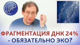 Фрагментация ДНК сперматозоидов 24% - надо ли делать ЭКО? Отвечает Гузов И.И.