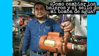 Cambio de Baleros y Sello en una bomba | Dani Plumber