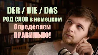 Der, die, das? РОД существительных в немецком. ВСЕ критерии! | Немецкая грамматика