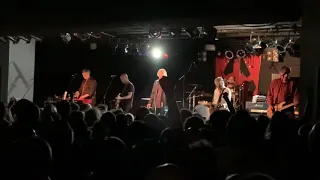 Do the Pop - Radio Birdman live Coolangatta Hotel 2/11/19