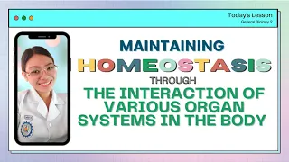 Maintaining Homeostasis through the Interaction of various Organ Systems in the Body