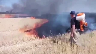 Солонянський район: вогнеборці здолали пожежу на скошеному полі