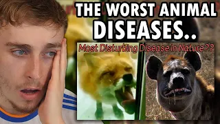 Reacting to Animal Diseases that Belong in a Horror Movie