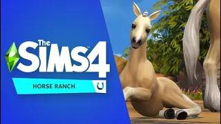 Welcoming A Baby Foal To The Ranch | The Sims 4 Horse Ranch 🤠