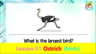 80 Animals | Unit 51 Ostrich | Birds