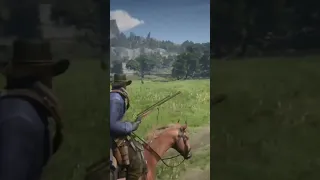 red dead redemption 2 deer hunting head shot