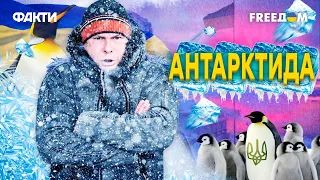 Война за Антарктиду! Роль Украины и России в битве за шестой континент