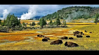 Вы посетили Которра-Спрингз(Cotorra Springs)🌋