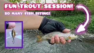 FUN TROUT SESSION! So many FISH! On the SINGLE HOOK Spinner!
