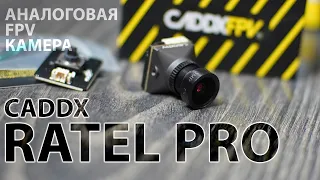 CADDX RATEL PRO / АНАЛОГ ЖИВ! / ОДНА ИЗ ЛУЧШИХ FPV КАМЕР ДЛЯ ВЕЧЕРНИХ ПОЛЕТОВ