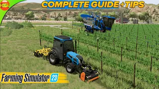 Complete Guide! How to Grow Grapes with Shortcuts and Tips in Farming Simulator 23