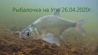 Рыбалка 26.04.2020г. на реке Упа в Тульской области. С фидером на речке=) РЫБ клюет!!!