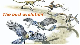 The history of bird evolution. Эволюция птиц на английском языке. Нейросеть.